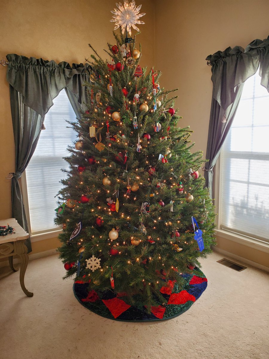 mlapinski1031's tweet photo. @30RockTree Our tree is late to the ratings party, but on the day after Christmas, still strong and tall and fully needled! https://t.co/tpsGz6gYx7