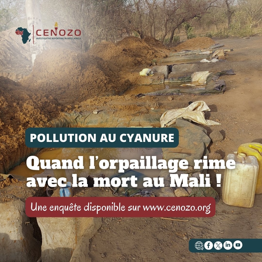 #NouvelleEnquête 
Au #Mali, le Falémé, le plus important cours d’eau de la région de #Kayes, est dans un état très avancé de #pollution au #cyanure avec une teneur maximale évaluée à 214 %, soit 209 fois supérieure à la norme estimée à 5 % par le Laboratoire national des eaux.