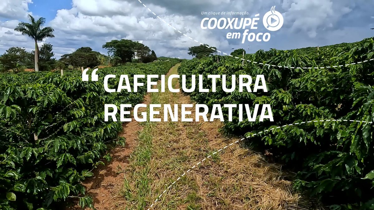 Cooxupé tweet media