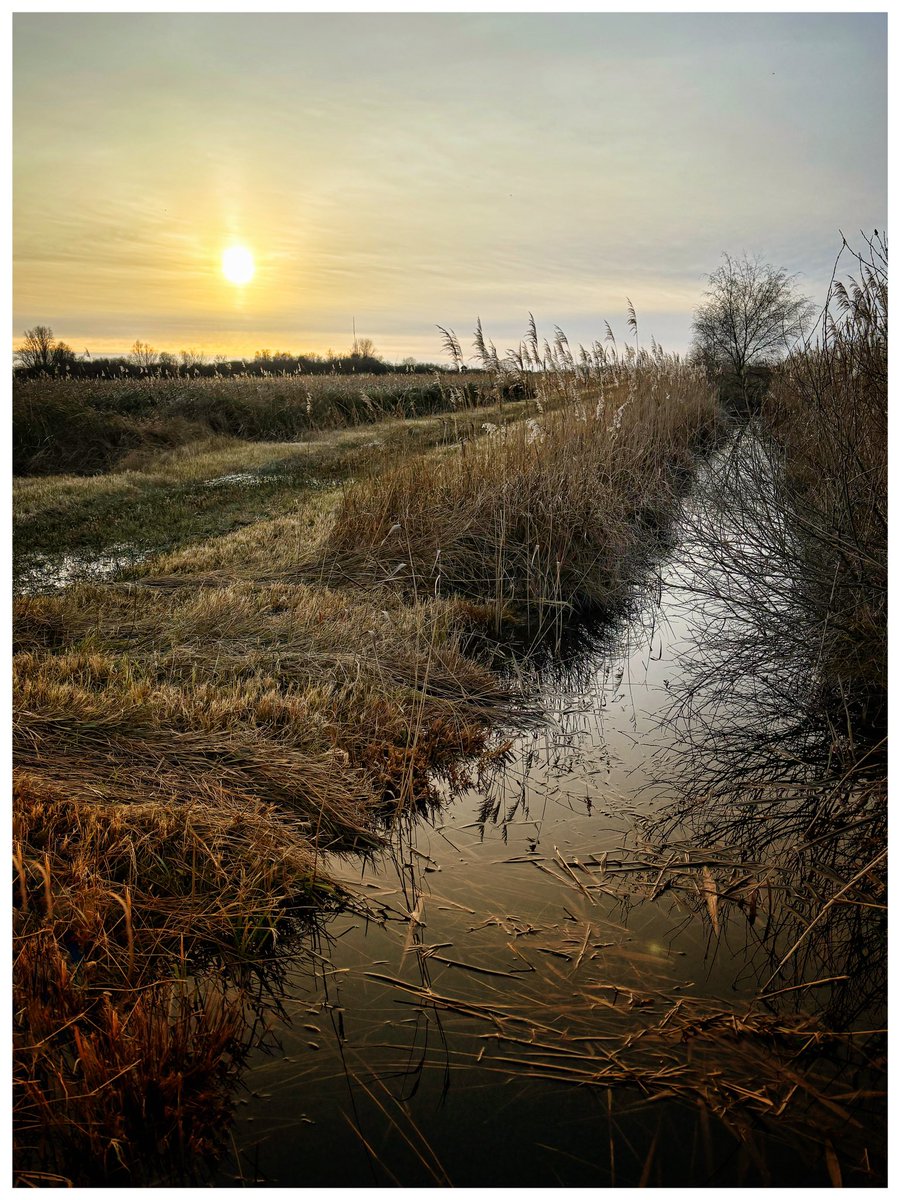 A very pleasant afternoon stroll at Wicken Fen. Good to stretch the legs, take in some fresh air and walk off the mince pies 😄.#Wickenfen #eastofenglandnt #nationaltrust #landscapephotography