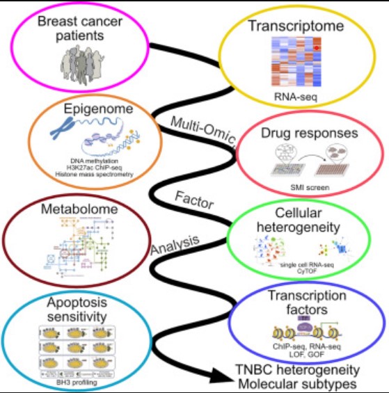 Dana-Farber’s Breast Oncology Center tweet media