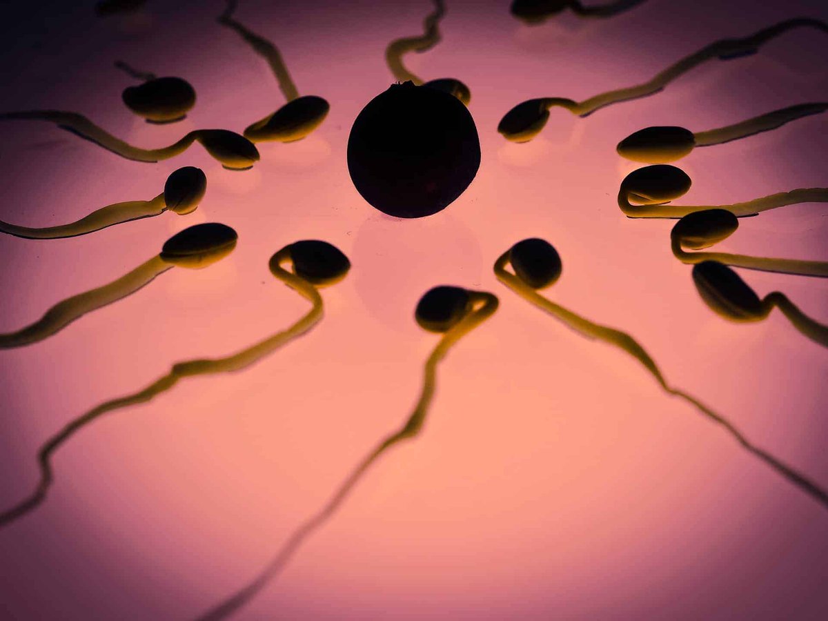 ToMakeAMommy's tweet photo. CoQ10 Benefits for Women- How Coenzyme Q10 Improves Egg Quality in Age Related Infertility https://t.co/4ixqn1rwlg https://t.co/FOmBl3fqjI