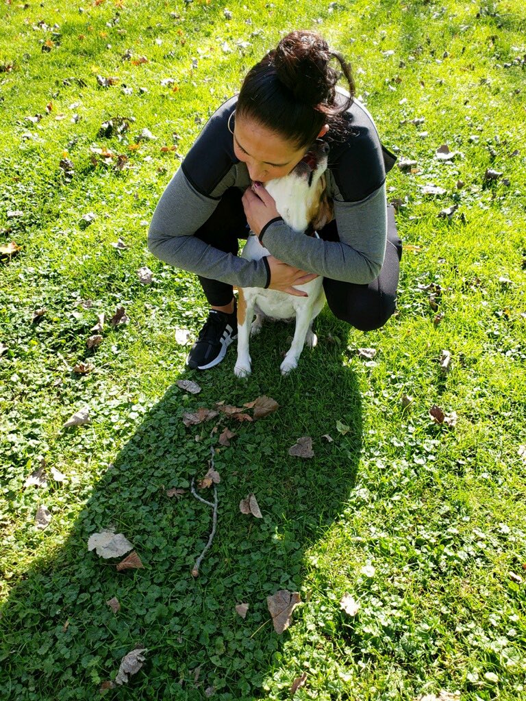 ElysiaMarie's tweet photo. Merry Christmas! 💖🐾  
I didn’t realize just how sad I’d be about Lola girl heading up to heaven. Goes to show just how much pups can really bless your life. She brought joy to my family during hard times and the good. Called her our Angel in fur. That she’ll always be🖤 https://t.co/ALAfLHhSpU