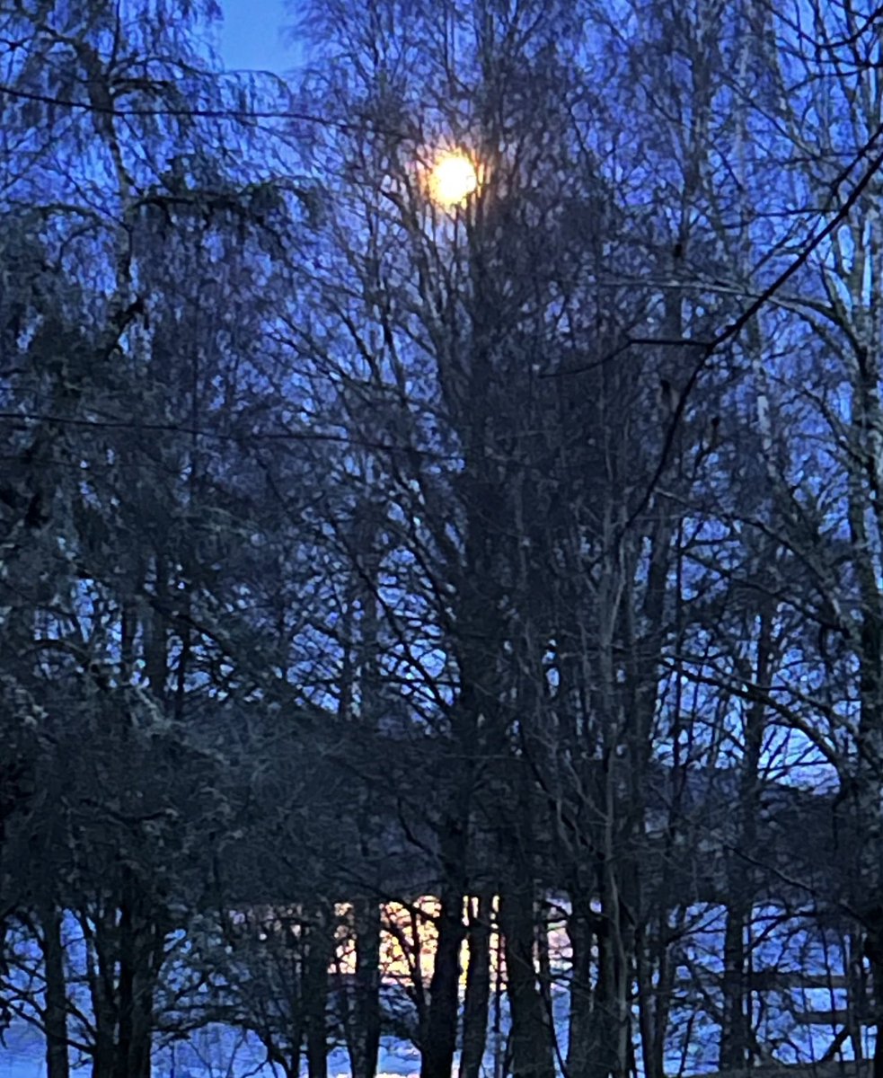 Jane McEachan tweet media