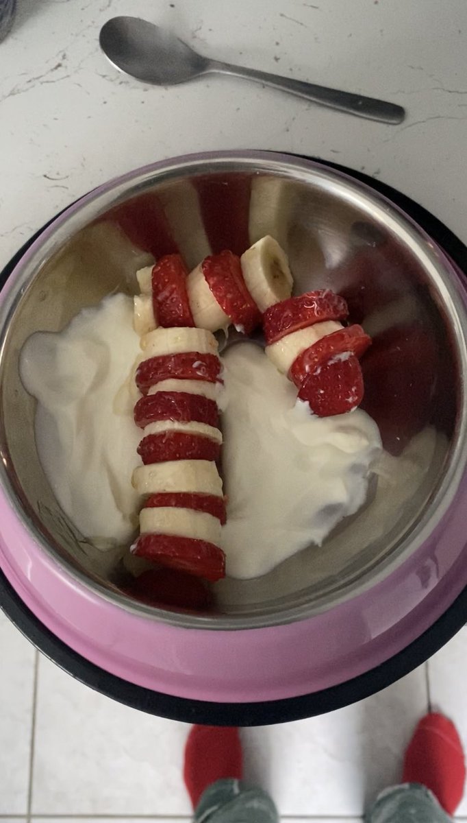 Inscarll's tweet image. Boo’s Candy Cane Boxing Day Breakfast, that was supposed to be Christmas Day 🤦🏻‍♀️🫠 🍌🍓 #dogcelebration #safefordogs #dogfriendly