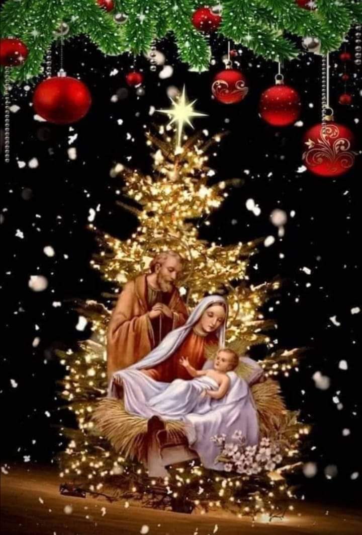 بمناسبة عيد الميلاد المجيد نرجو الله أن يعم الخير و السلام العالم كله .. وكل عام وانتم بخير ...