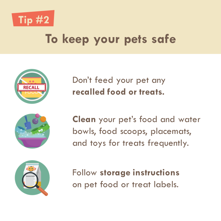 CDC_NCEZID's tweet photo. We love our 🐶 and 🐱 and want them to have the best and healthiest food! Take pet food safety steps to keep them and your family healthy. https://t.co/opBXtrsipK https://t.co/sl0E0NRmfb
