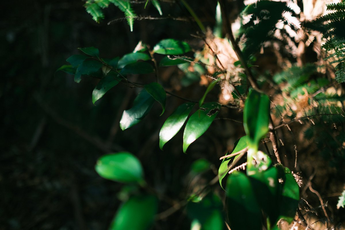 almightygenera1's tweet image. 