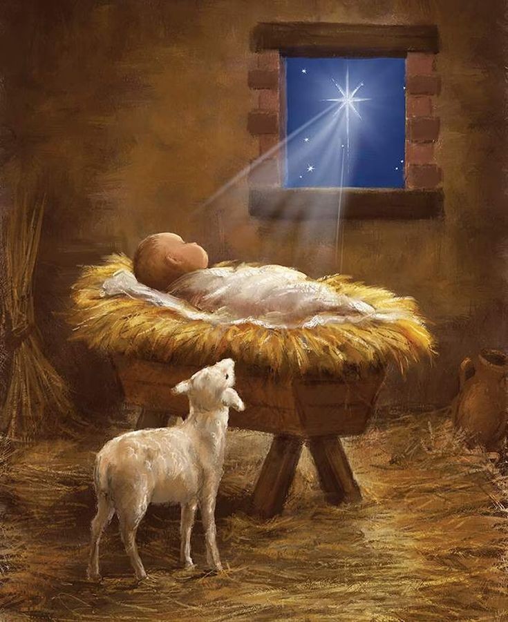 traceyjustice21's tweet photo. Happy heavenly Christmas, Noah darling 💖 💙
Please keep wrapping your arms tightly around your beautiful mummy 💙🥰💙 https://t.co/oGP2HLtW06