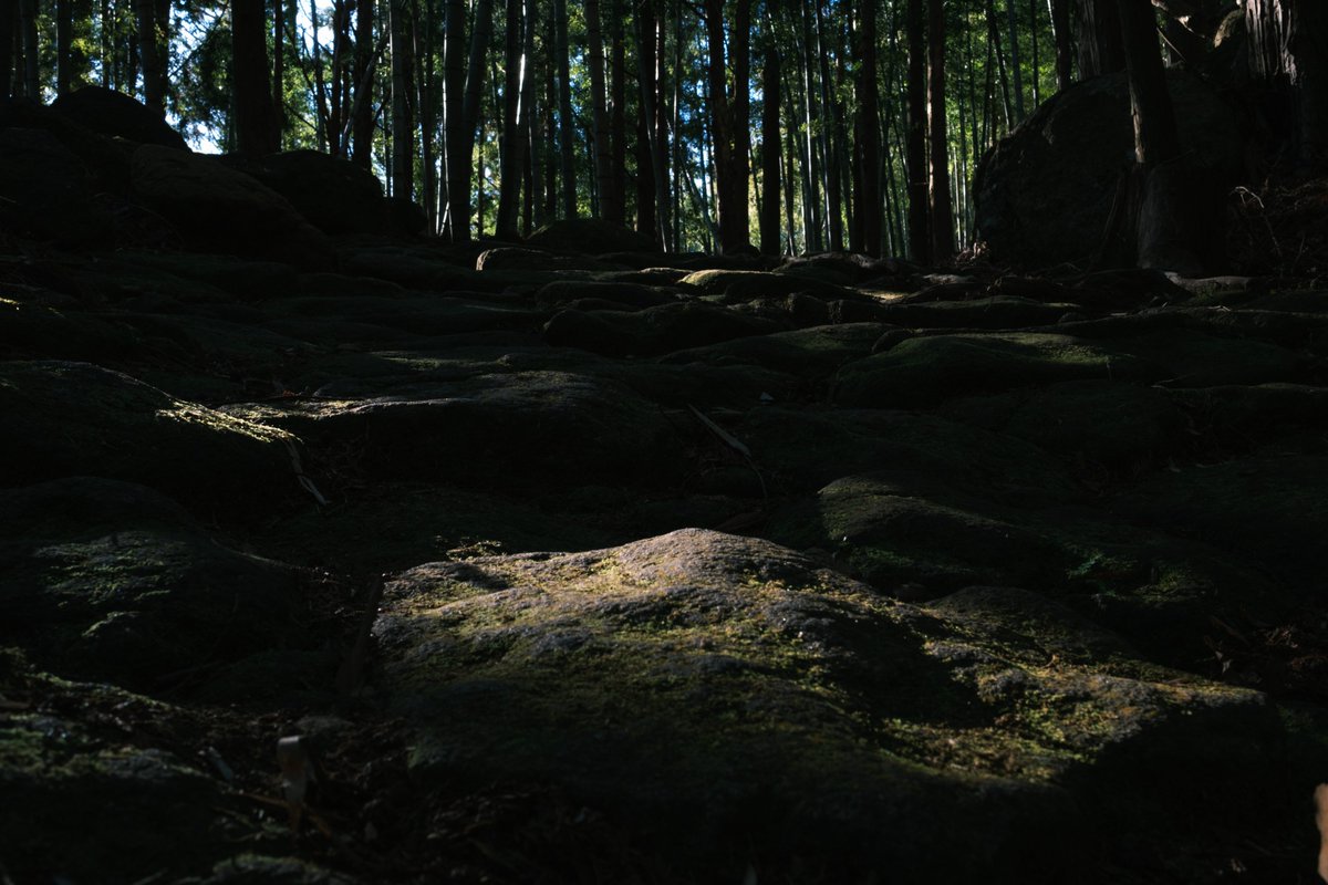 almightygenera1's tweet image. 