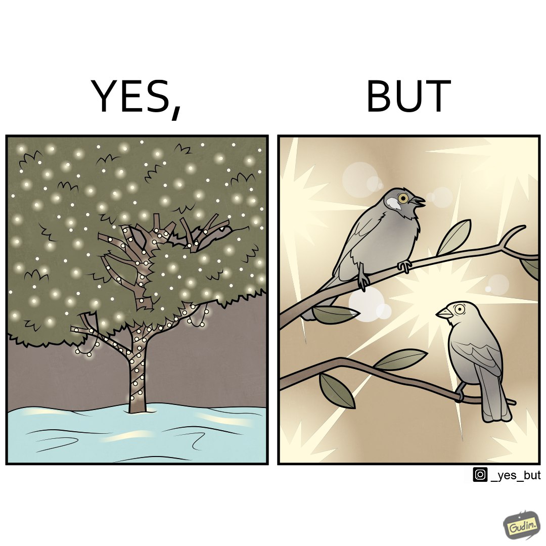 Yes, But (@_yesbut_) on Twitter photo 