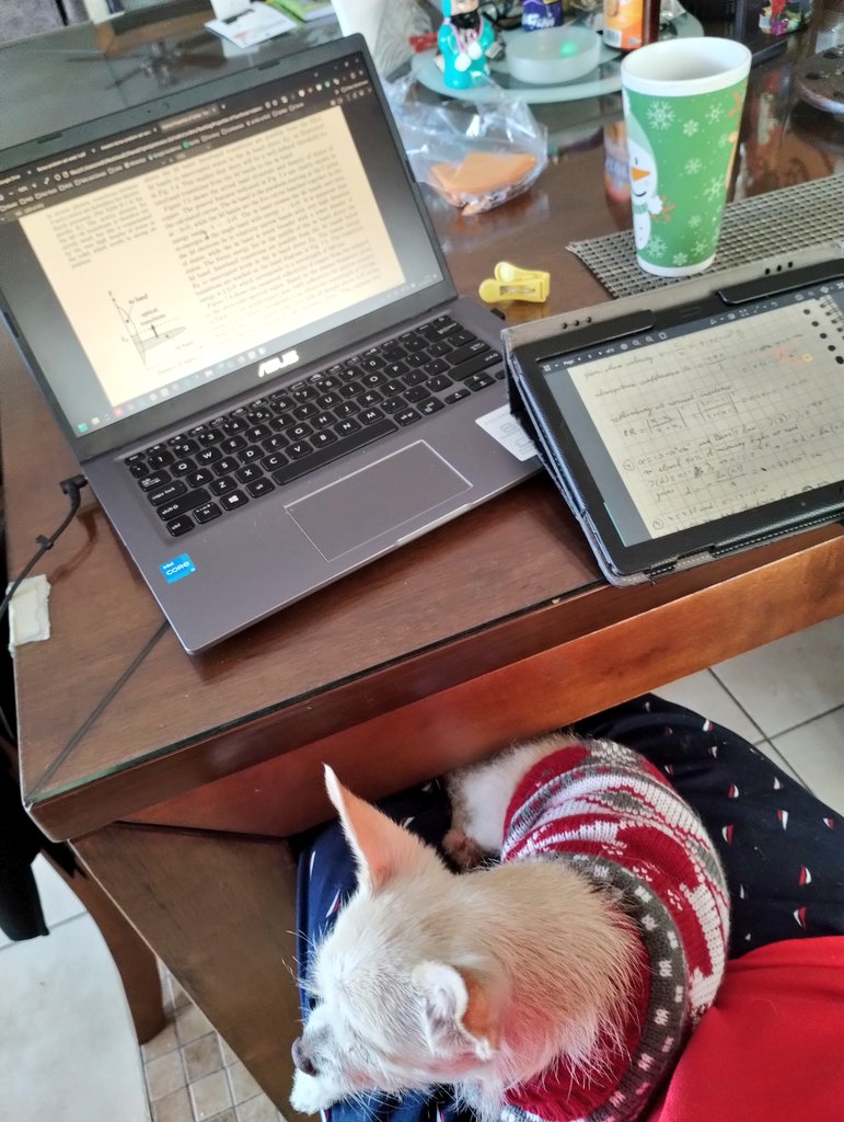 ccalex_'s tweet image. There is only one aloud way to grade homework during holidays...