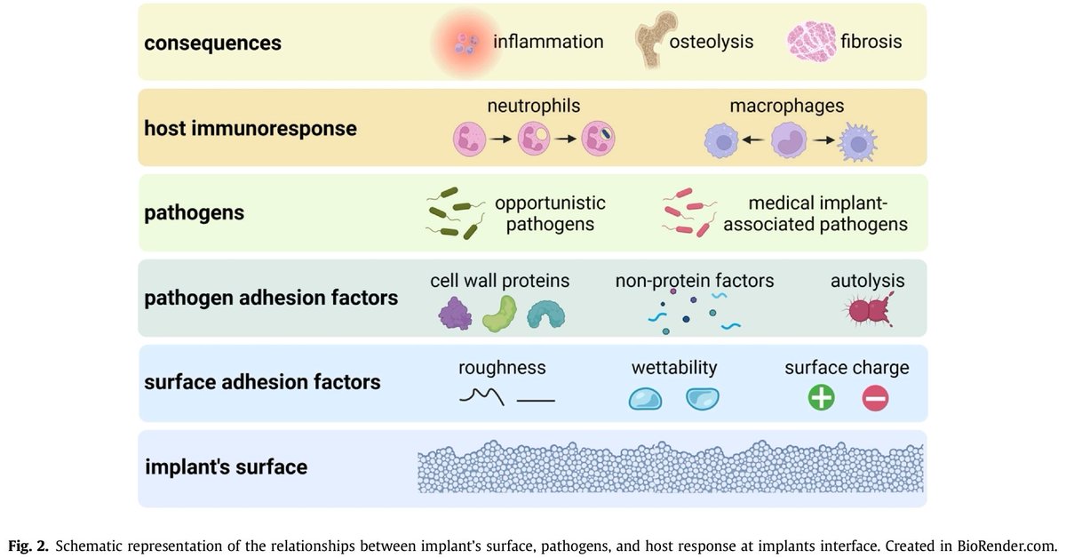 melarsoprol7 tweet picture