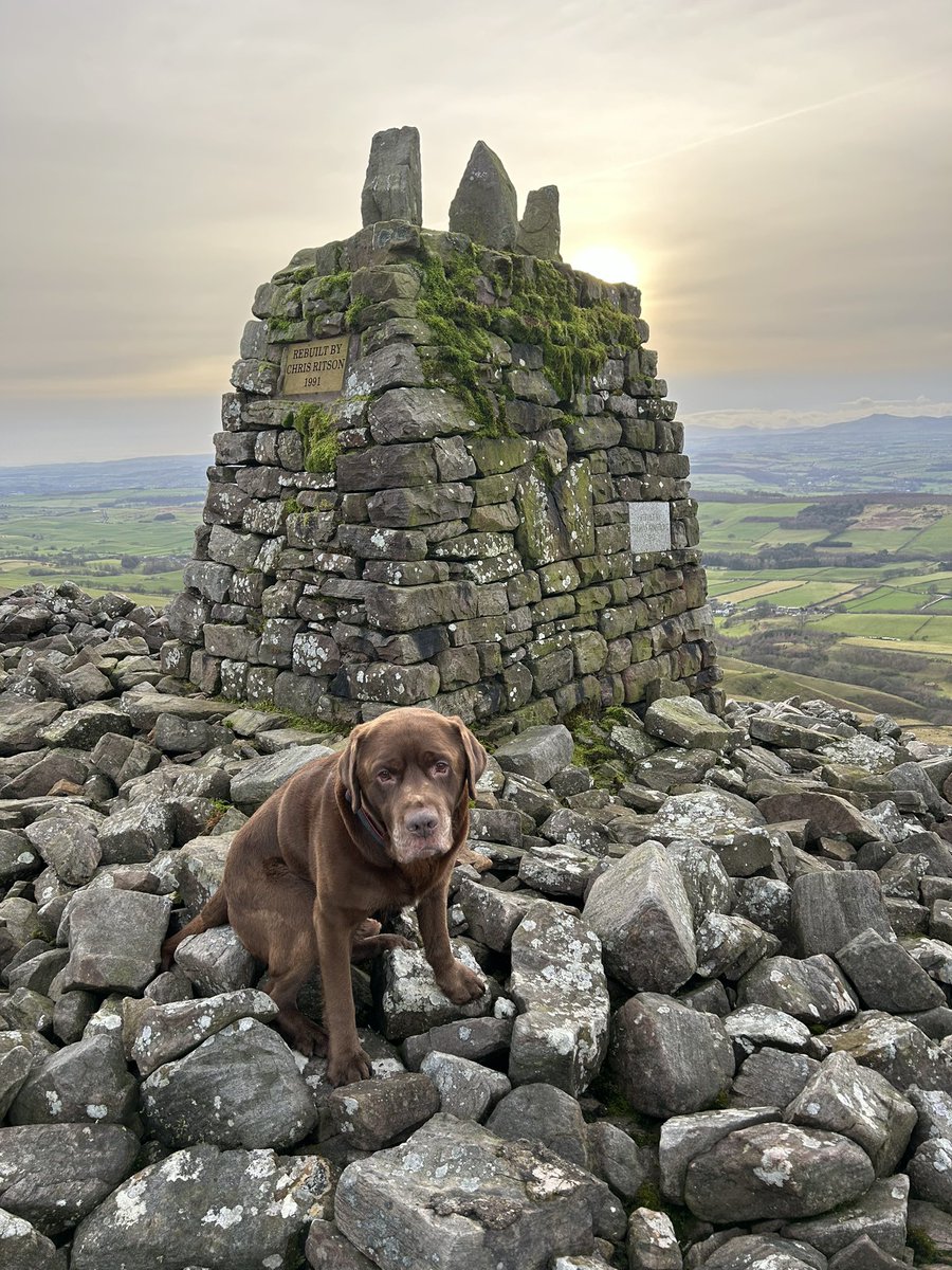 Boxing Day bait stop on Cardunneth pike ☕️ 🥪 #northpenninesaonb