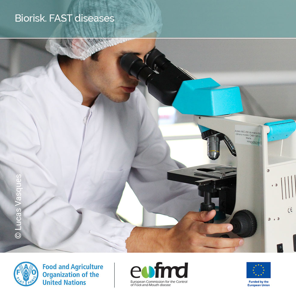 Eufmd's tweet photo. 💡 Wondering how to prevent the spread of #FASTdiseases?
Proper #biorisk management in laboratories and animal facilities is crucial.
Enroll in our open-access course to learn more: https://t.co/owgfLH81Oq https://t.co/3kgPVpL6lN