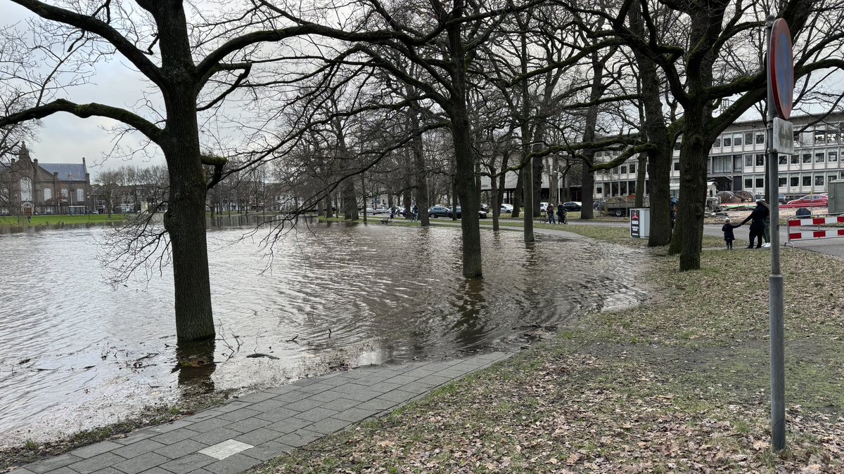 MCN038's tweet photo. Stadsgracht Zwolle treedt buiten de oevers, onder meer bij Groot Wezenland. #hoogwater #overstroming https://t.co/s14t8PU2uj