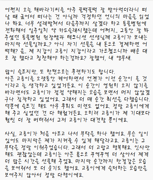 최강고롬미 tweet media