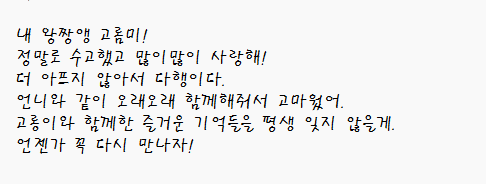 최강고롬미 tweet media