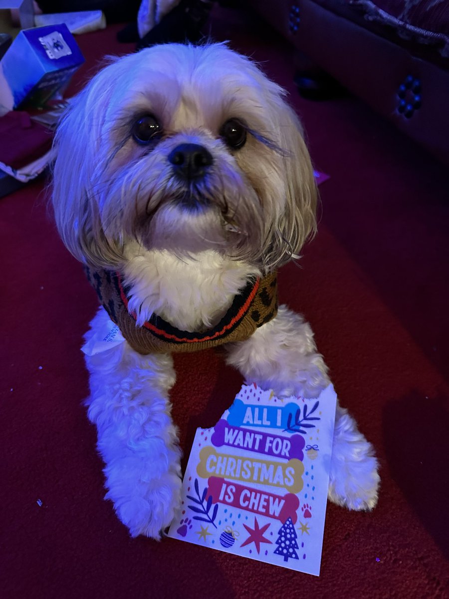 vgudge's tweet image. Merry Christmas  #scoffpaper