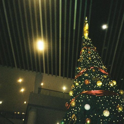 B0yondinary's tweet photo. / 🎄🎇
 
with you , shawty with you under the mistletoe https://t.co/2foayFLFlH