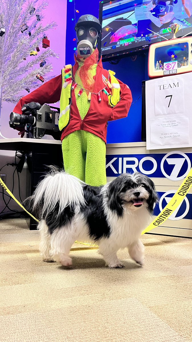 JOseattle22's tweet photo. The KIRO TV photojournalists win the overall excellence award for the holiday decorating contest! And of course my dog Shitzoo had to come check it out some of my Grinch work https://t.co/pCX6AX7atK