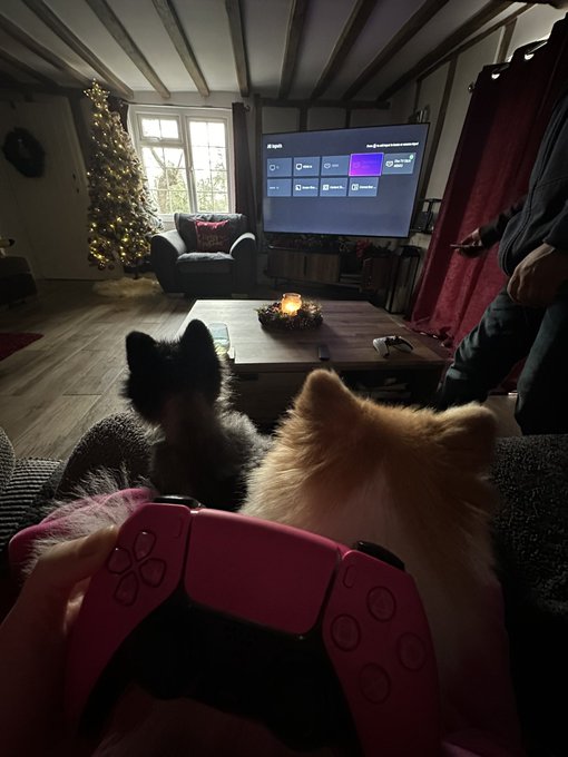 Boxing Day, the one day my dad @NicSamiotis and I take a day off and play games together. This year,<a class="tags" target="_blank" title="On Twitter" href="/?out=eyJ0eXAiOiJKV1QiLCJhbGciOiJIUzUxMiJ9.eyJpYXQiOjE3MjA3MjgyOTgsImlzcyI6InR3cG9ybnN0YXJzLmNvbSIsIm5iZiI6MTcyMDcyODI5OCwiZXhwIjoxNzUyMjY0Mjk4LCJyZWRpcmVjdF91cmwiOiJodHRwczovL3R3aXR0ZXIuY29tL05pY1NhbWlvdGlzIn0.M2MNq98DBmGGNt7VRfD_MHk0FABOBMBCPL51yT4y3xfX_L9du7KYbOjPBX2CaFaX_oRU99lJh4kK1F2QbigEaw">@NicSamiotis</a><a href="/tag/netflix"class="tags"><span>#netflix</span></a><a href="/tag/rebelmoon"class="tags"><span>#rebelmoon</span></a>
