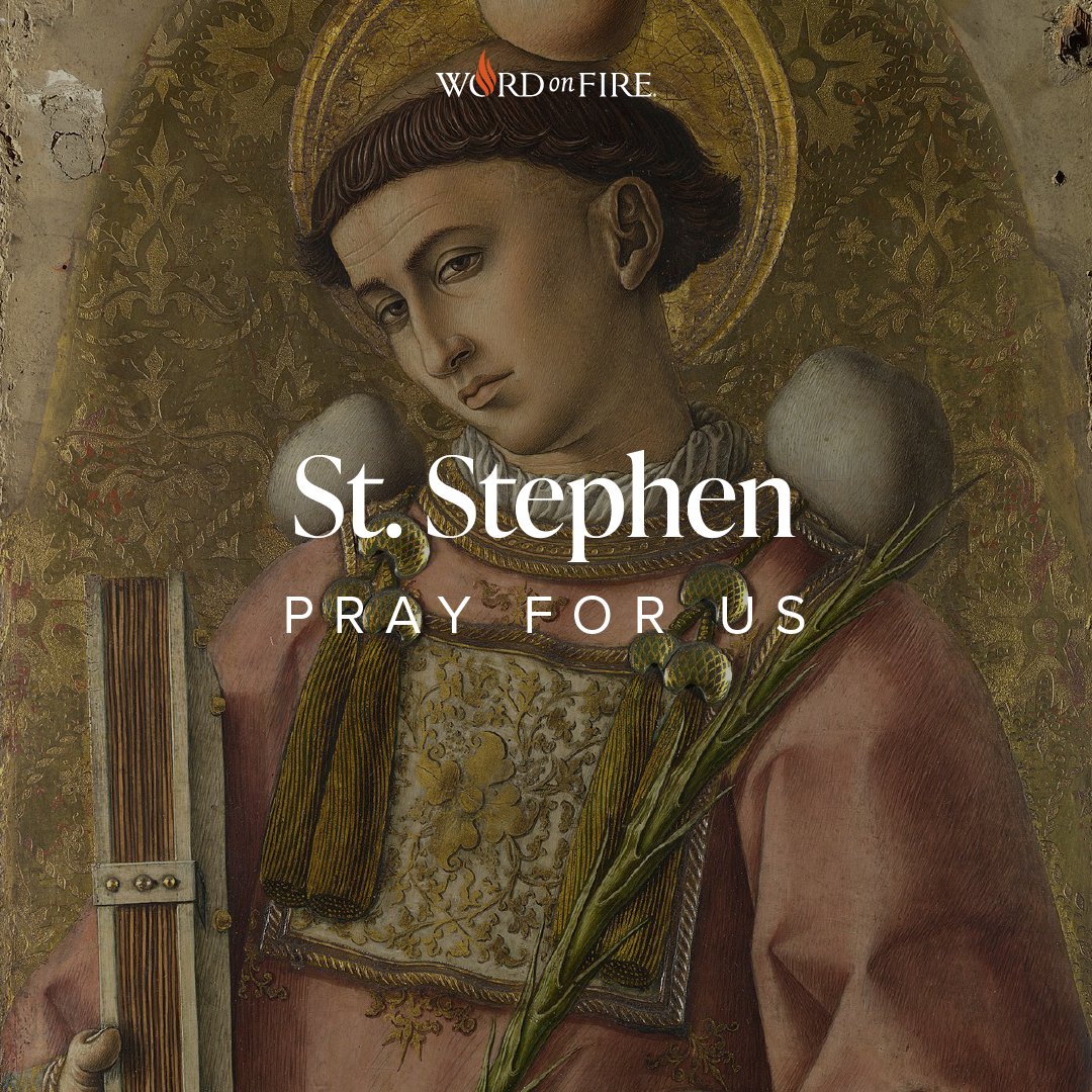BishopBarron's tweet photo. St. Stephen, pray for us! https://t.co/YSphwPkkBd
