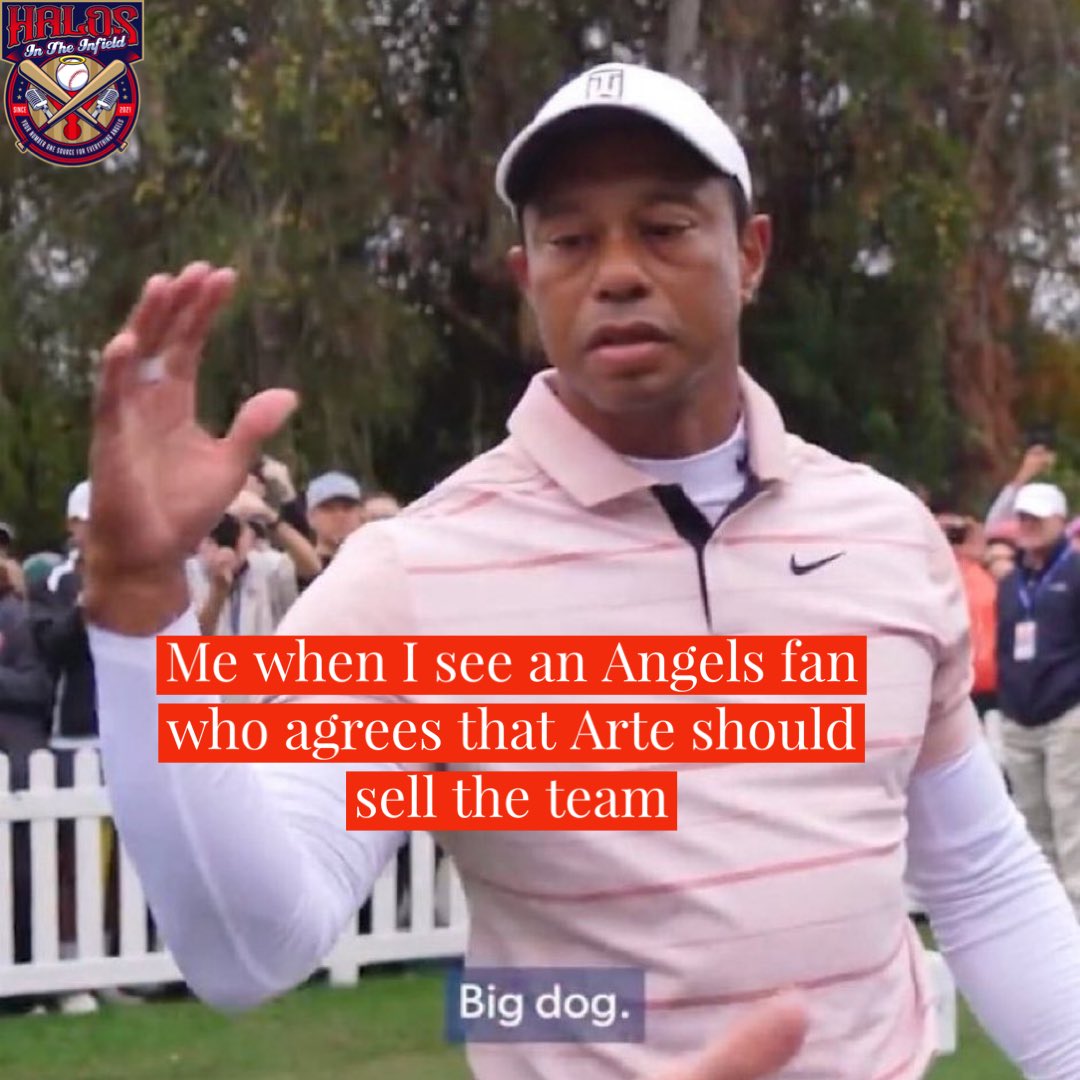 Big Dog 

#GoHalos #Angels #Baseball #MLB