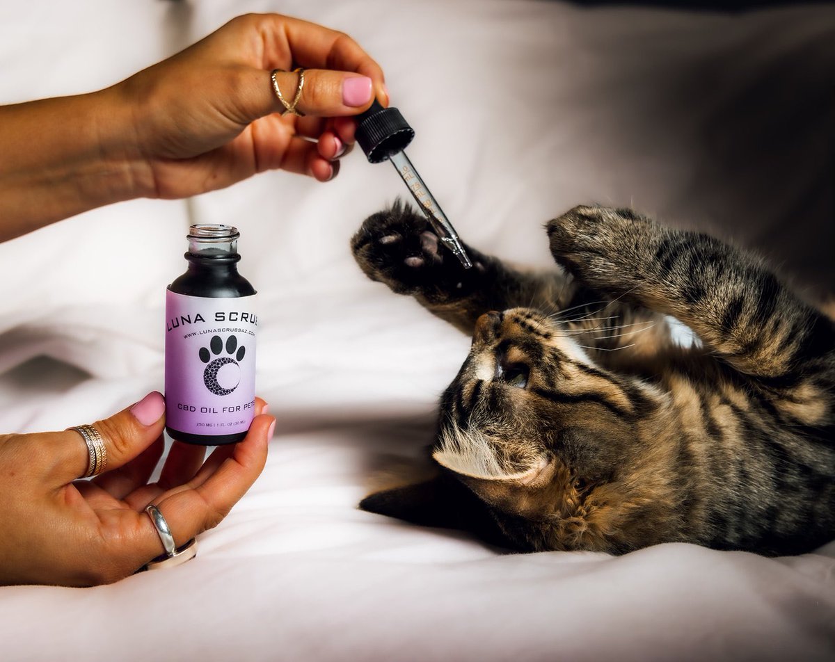 LunaZenAZ's tweet photo. PRODUCT OF THE WEEK: @lunascrubsaz #CBDPetOil 🐶🐱 Just in time for #NewYearsEve Lunas 🧨💥

When your pet is given a proper dose of #CBDOIL you’ll notice a calm, relaxed demeanor within 30 mins- 1 hour 💜🐾

ORDER HERE 👇🏼
https://t.co/B6bMSy0SzN https://t.co/wBq8L2P5Vb