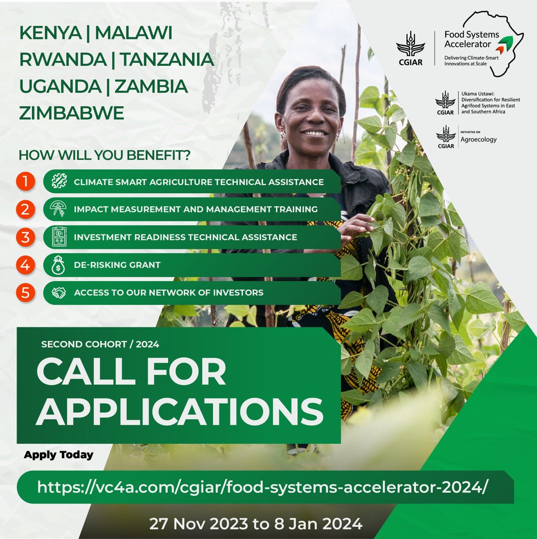 Are you an #agribusiness working with #smallholderfarmers? Are you innovating in #mechanization #irrigation🚜 #conservation ag 🌱 #nutrition 🌽 or #ARM. Apply to the #CGIAR FoodSystemsAccelerator and let's support you scale 🚀 your business. Details here: on.cgiar.org/3RRUqkg