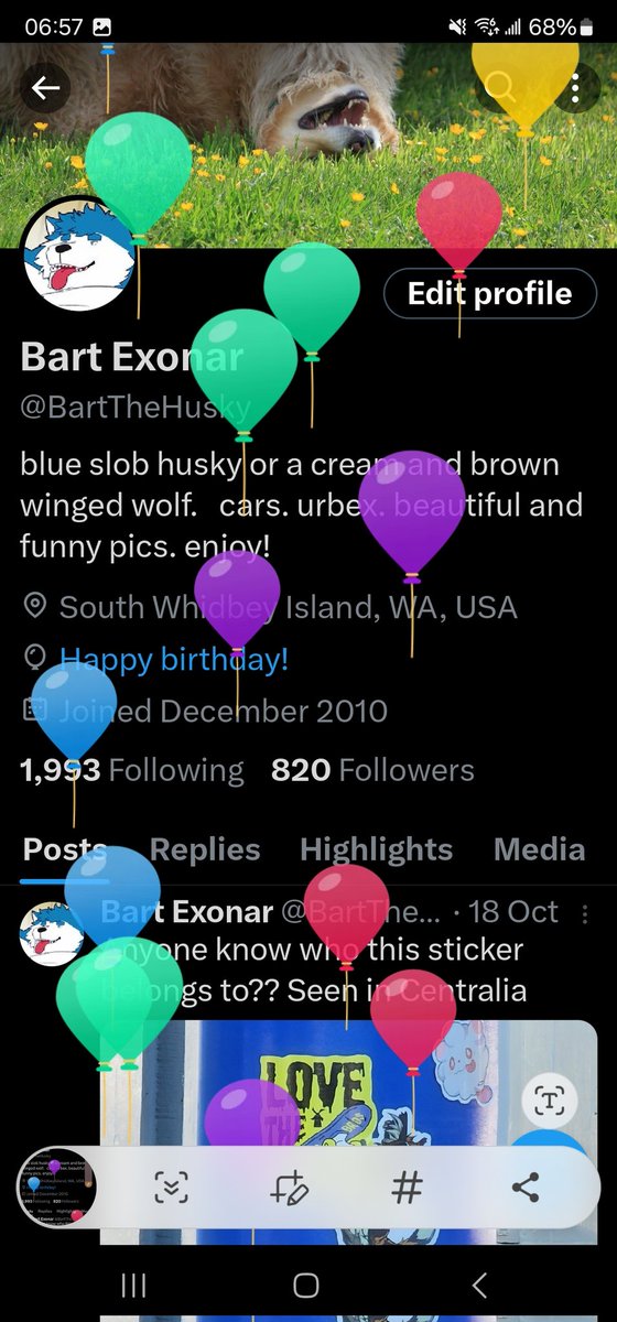 BartTheHusky's tweet photo. Balloon times today. https://t.co/fuqRjXVAuH