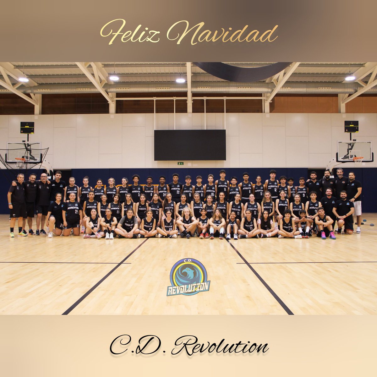 CDERevolution's tweet image. ¡Desde la familia Revolution os deseamos una feliz Navidad! Que estas fiestas estén llenas de emociones y momentos inolvidables con vuestros seres queridos ✨ #NavidadRevolution