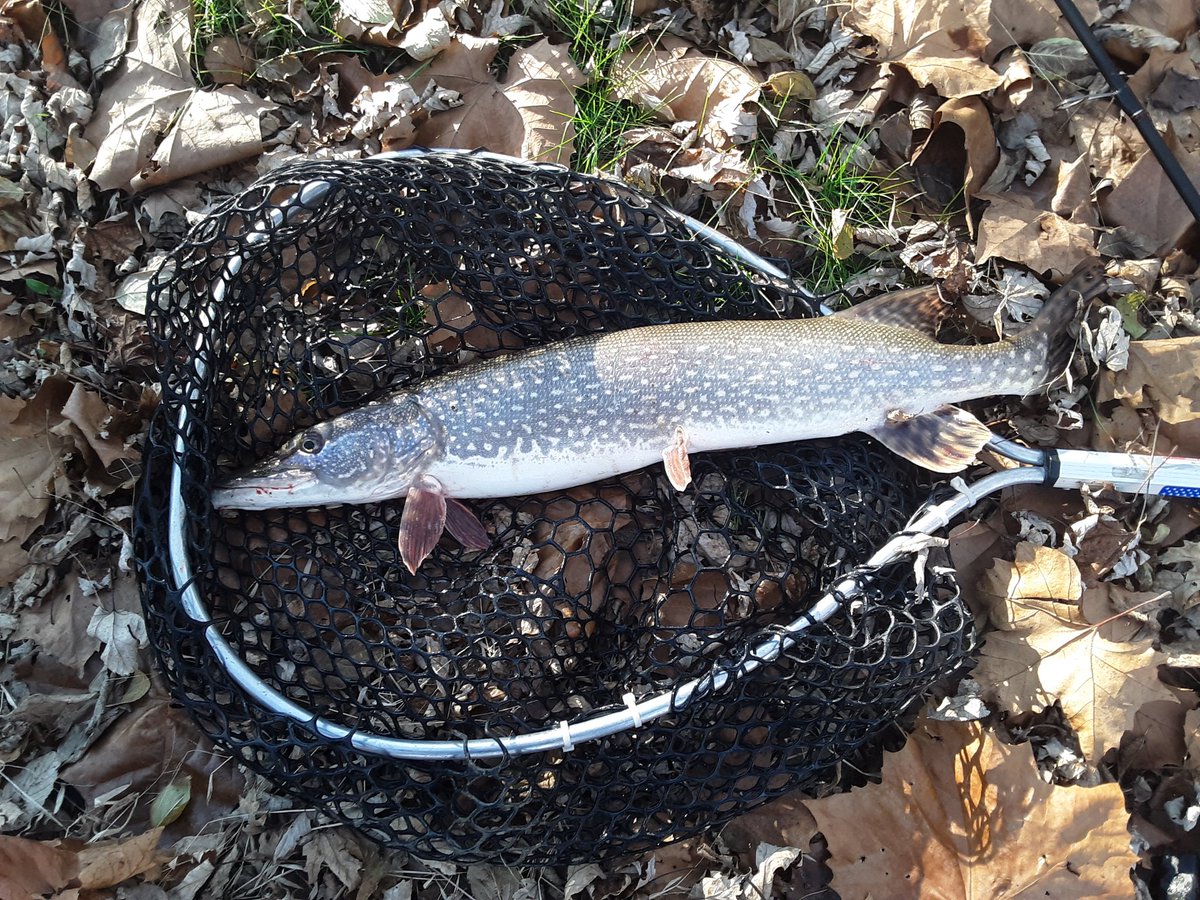 OutdoorLifeGood tweet picture