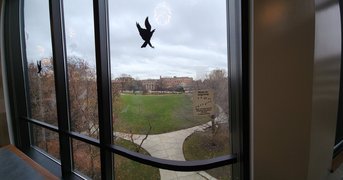 Awesome view to get some winter coding done!!