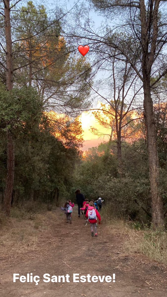 Feliç Sant Esteve!