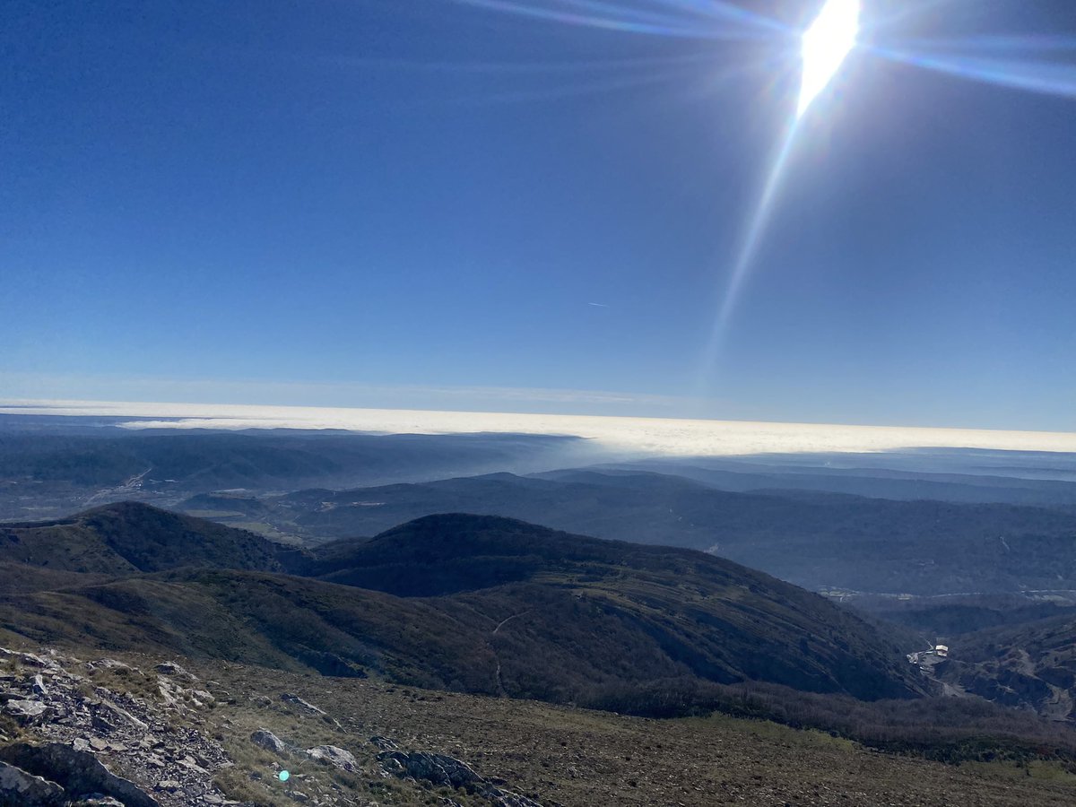 Luis Quiroga tweet media