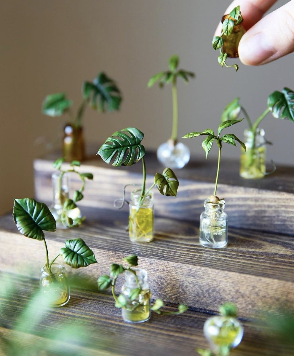 HobbyistPlant's tweet photo. Tiny clay plants by Hannah Lemon 🌿 https://t.co/UkwODvsmm6