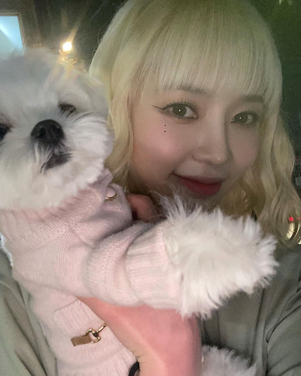 NatureTeamTR's tweet photo. [231227] Biricik dansçımız LOHA'nın doğum günü. İyi ki doğdun Loha! 🌸🌱

#HAPPY_LOHA_DAY
#네이처 #NATURE #로하 #LOHA @nature_nchworld https://t.co/oNJsNeBpEH