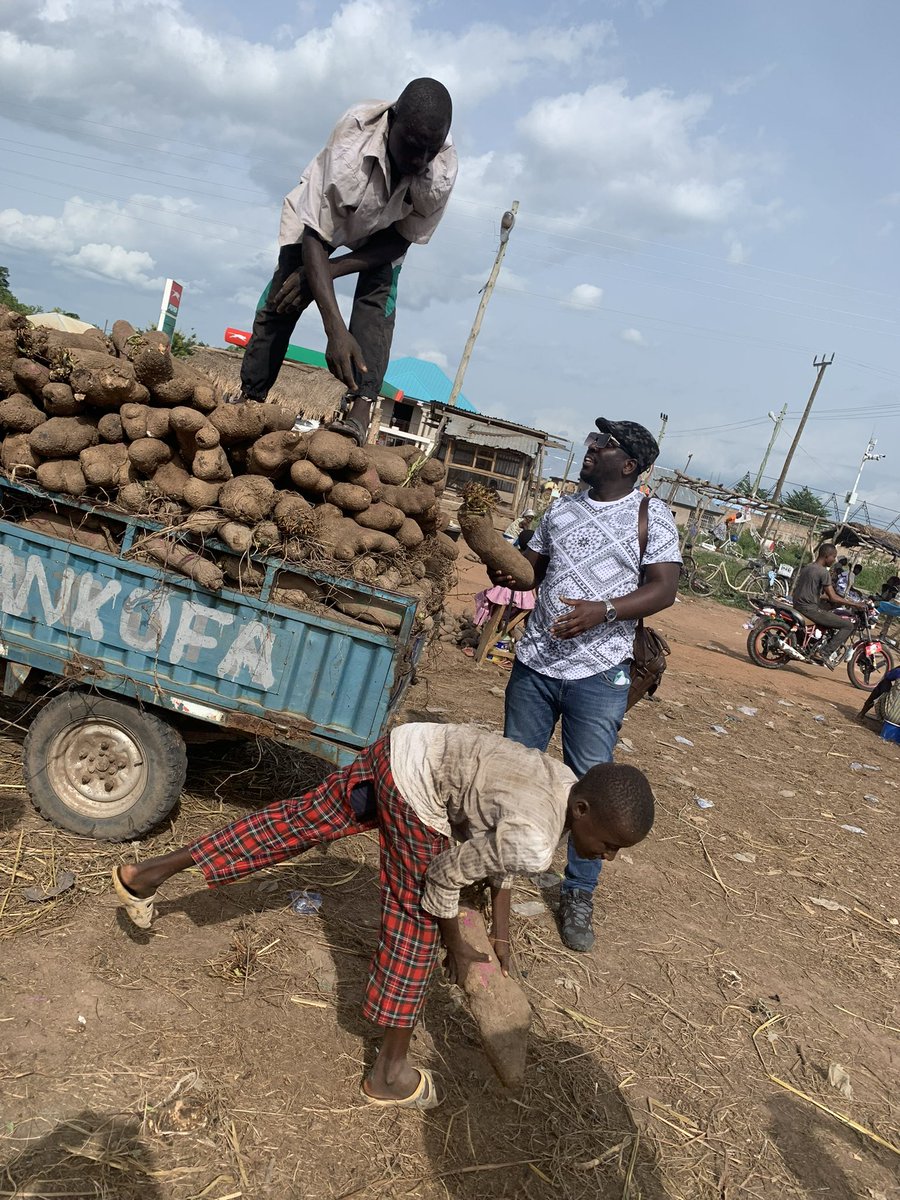ModernAgri_Tips's tweet photo. #Africa's agricultural landscape is rich with potential. Harnessing sustainable practices is crucial for ensuring food security & climate resilience.
Let's celebrate the innovation & resilience of African #farmers paving way for a brighter, sustainable future. #AfricanAg #SDGs https://t.co/V9obozvCIs