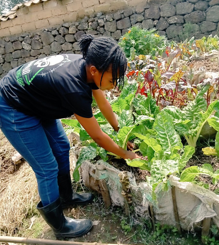 ModernAgri_Tips's tweet photo. #Africa's agricultural landscape is rich with potential. Harnessing sustainable practices is crucial for ensuring food security & climate resilience.
Let's celebrate the innovation & resilience of African #farmers paving way for a brighter, sustainable future. #AfricanAg #SDGs https://t.co/V9obozvCIs