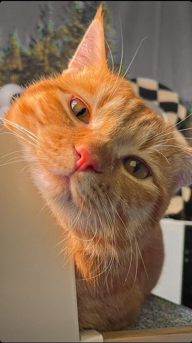 lazy morning over here ⛅️