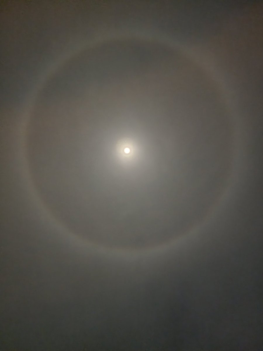 방금전 찍은 사진. 이거 달무리인가요? 너무 신기하네요.