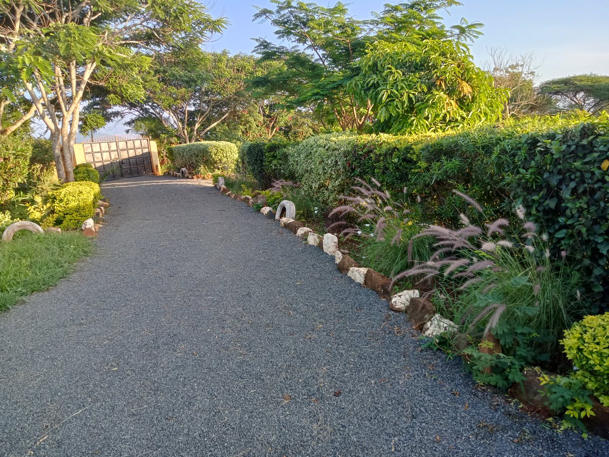 KatelembuGa's tweet photo. Katelembu Gardens @KatelembuGa conceived to offer something more than just an enjoyable and relaxing stay, that is, an “experience of sensational well-being between men and the environment.📞 0721 415 320 https://t.co/AlQKZ4Et9b