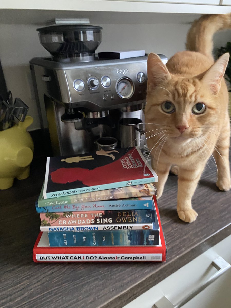 2023 book reads, featuring my cat who thought it was necessary that she’s in the wrap-up photo

#2023bookreads #bookreccomendations