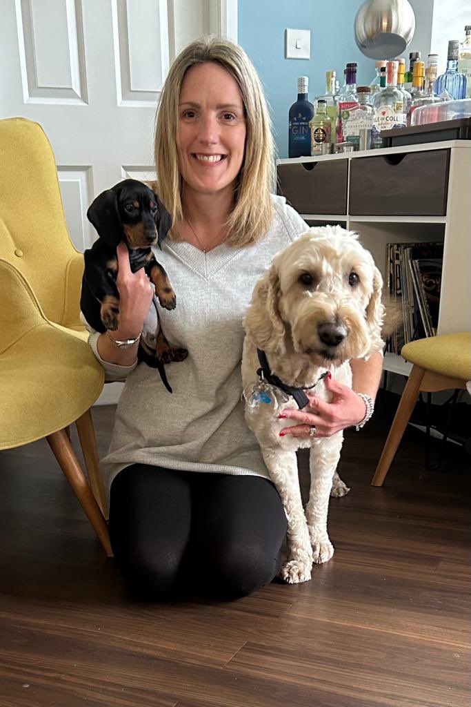 Buddywhitegate's tweet photo. Meet my wee pal Reggie! He can’t wait to meet you all soon. (But I’ll still be number one!) @SchoolWhitegate https://t.co/Dw4NUhiK4h