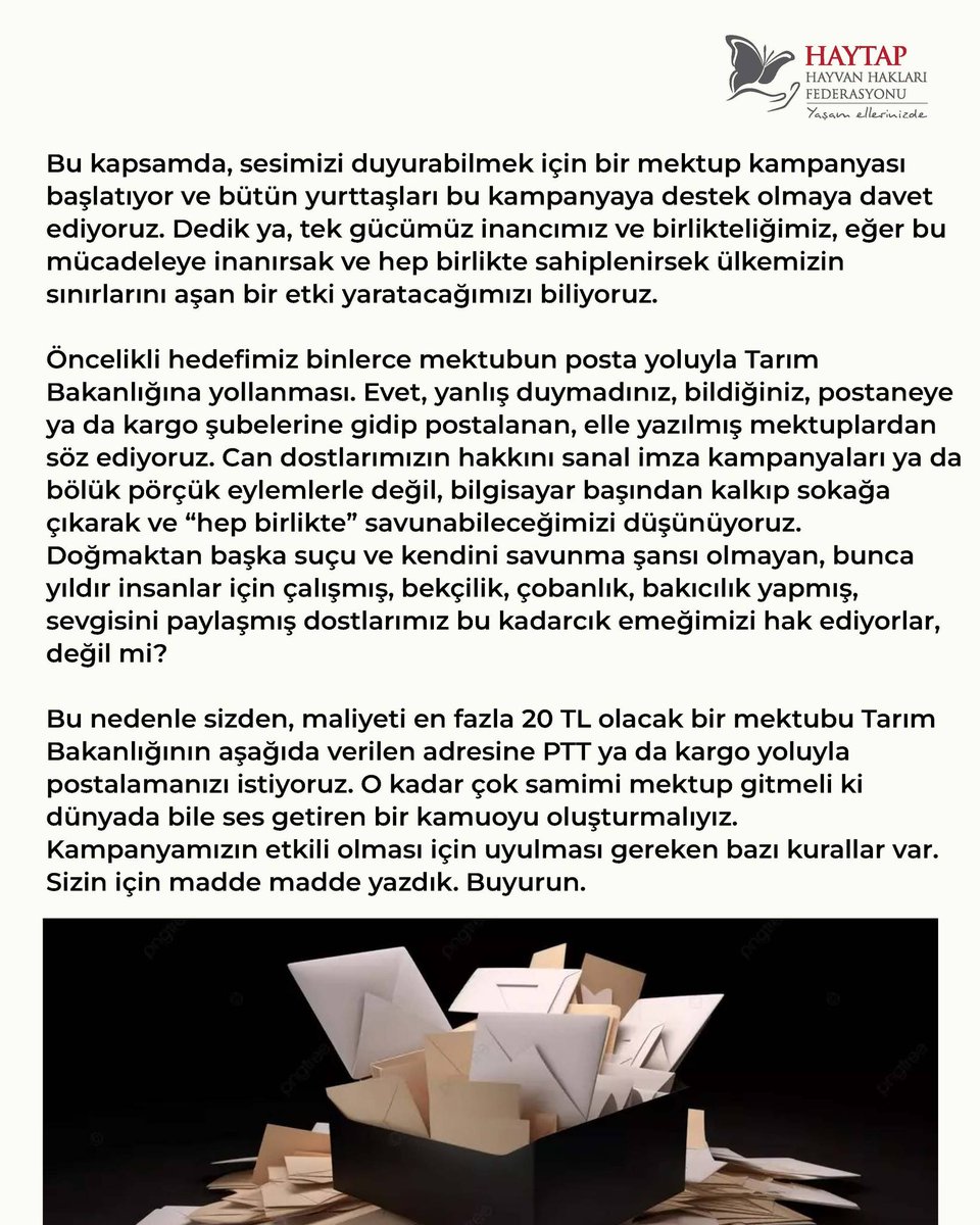 Mahallemizin hayvanlarının ölüme gönderilmesine karşı çıkıyoruz ve Tarım Bakanlığına Mektup Kampanyası başlatıyoruz: “NE YAPTIĞINIZI BİLİYORUZ !” Bilindiği üzere son zamanlarda mahallemizin kısırlaştırılmış sosyal köpeklerinin toplatılıp bakımevi denen ölüm kamplarına…