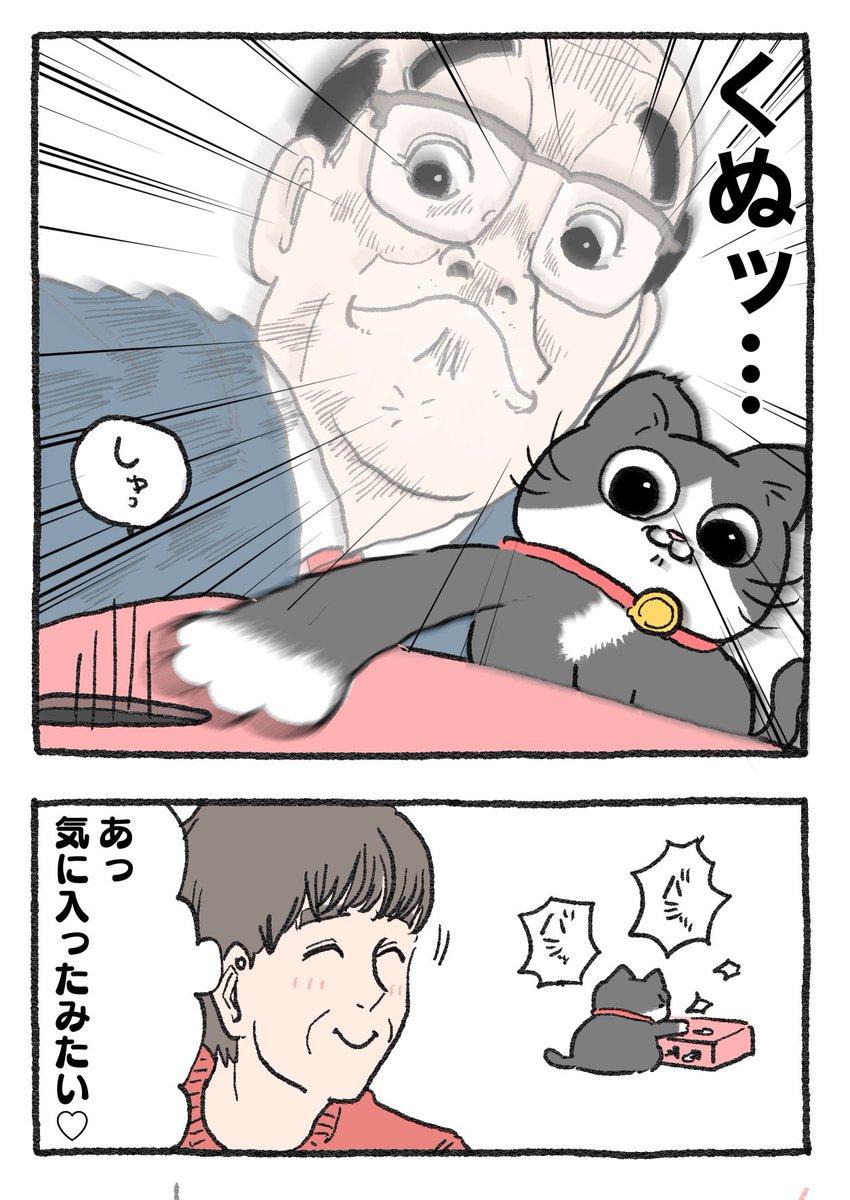 ねこに転生したおじさん。その325