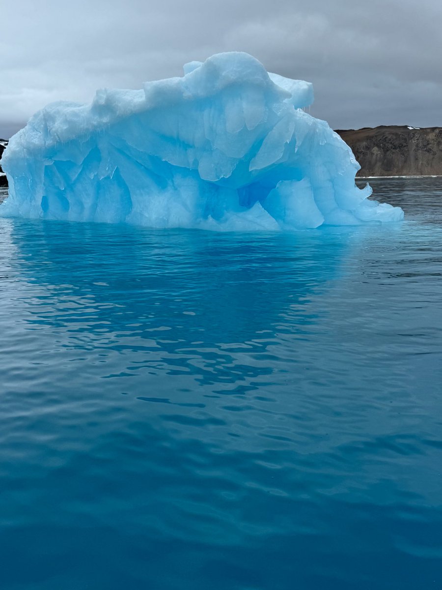 Ryota_US's tweet photo. iceberg🧊 https://t.co/nJcMIkab46