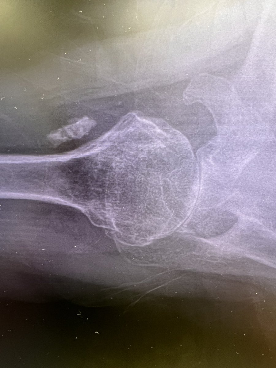 Chase B. Ansok, MD tweet media