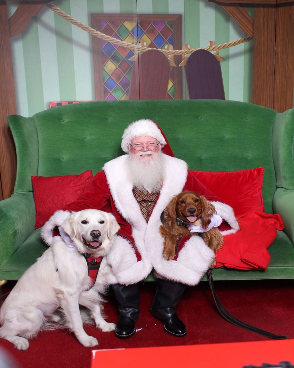 Suburban_K9's tweet image. We hope everyone had a wonderful Christmas!

Please send us photos of your dogs!

#dogtraining #dogtrainers #dogtrainingadvice #dogs #christmasdog